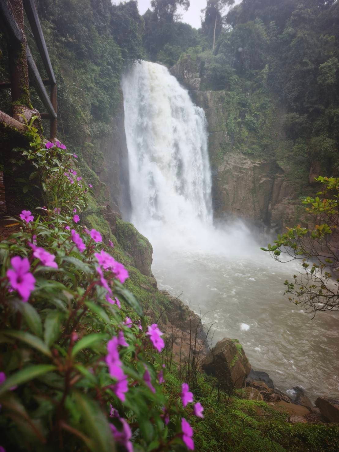 Nakhon Nayok → Khao Yai National Park (UNESCO World Heritage experience) One Day Trip 4