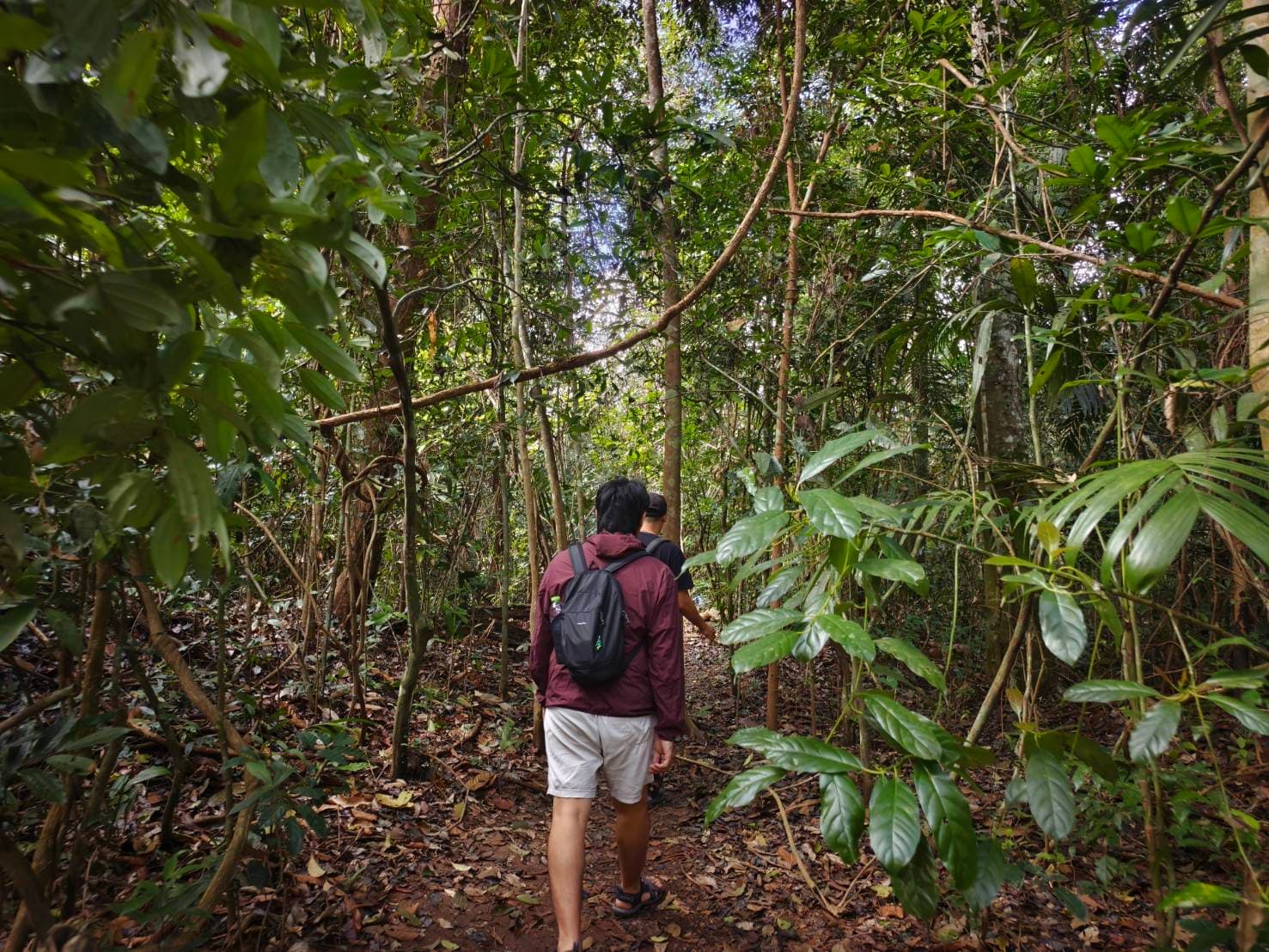 Nakhon Nayok → Khao Yai National Park (UNESCO World Heritage experience) One Day Trip 21