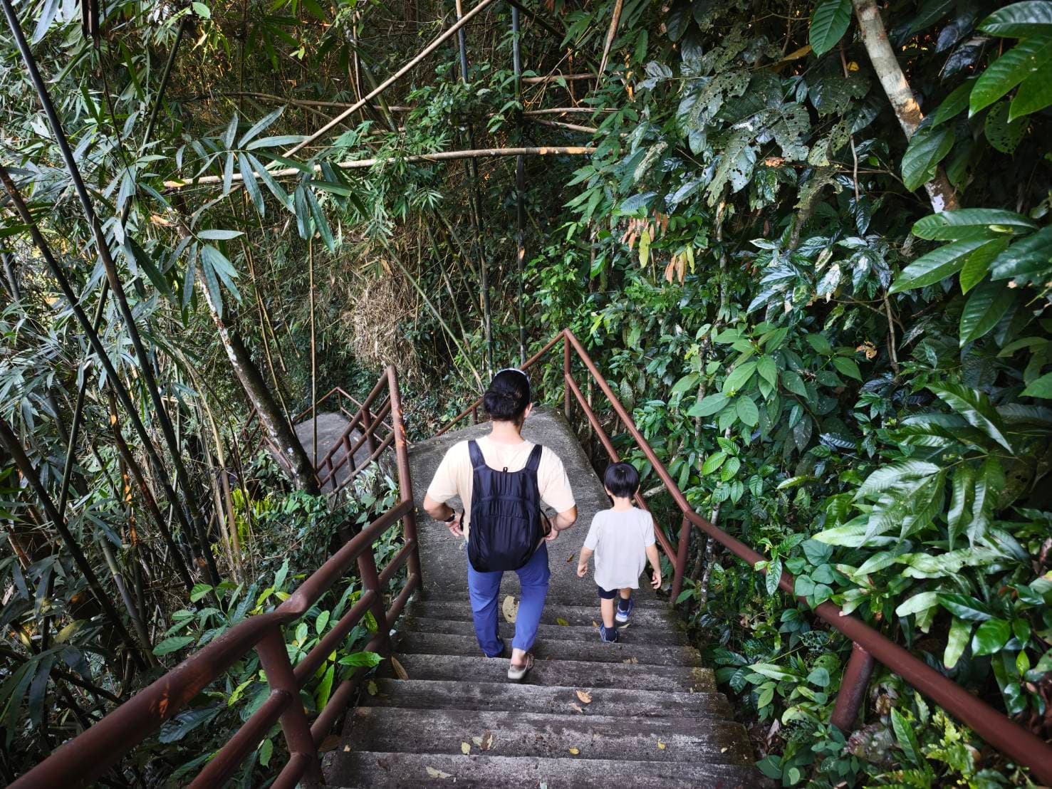 Nakhon Nayok → Khao Yai National Park (UNESCO World Heritage experience) One Day Trip 23