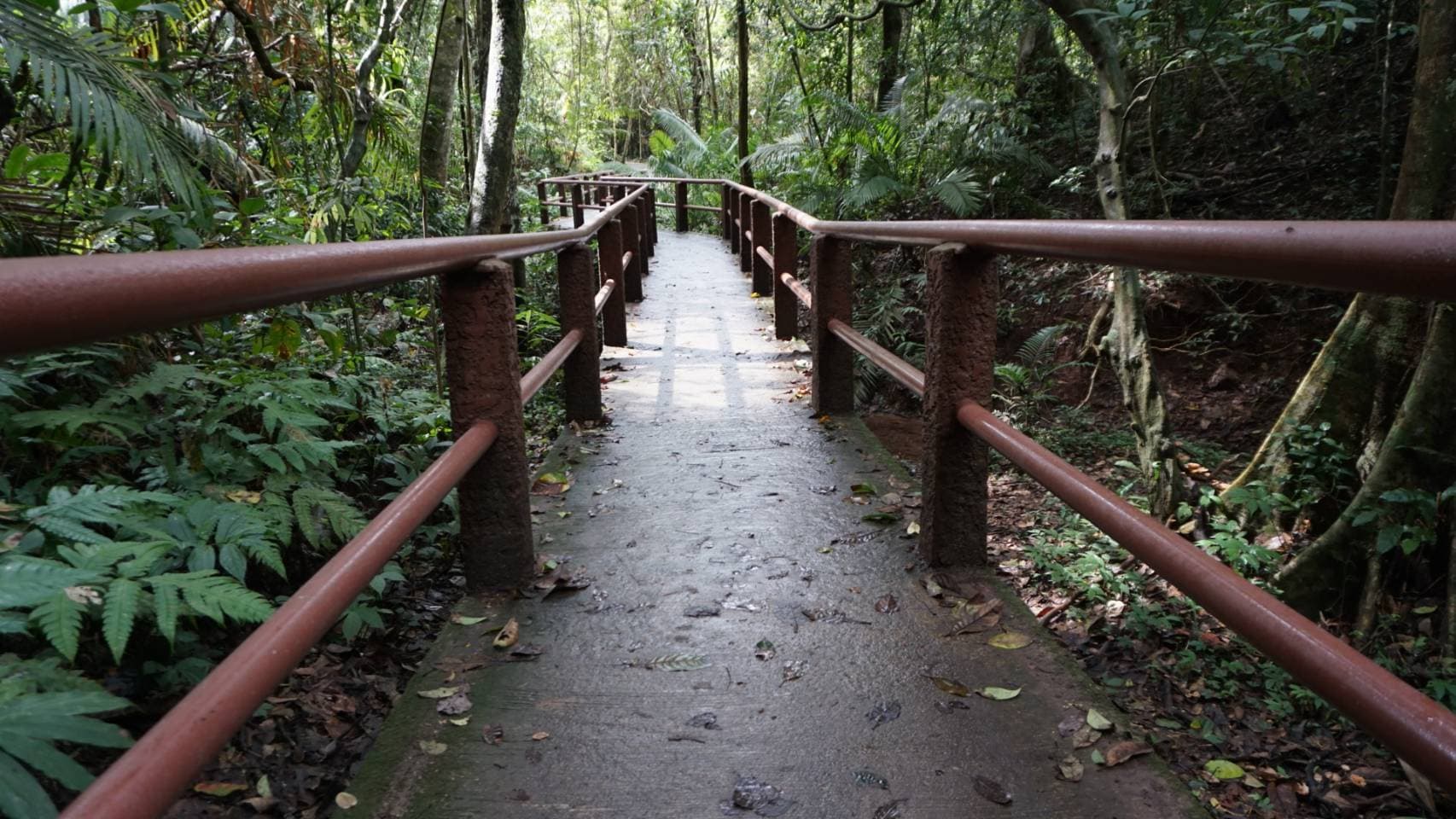 Nakhon Nayok → Khao Yai National Park (UNESCO World Heritage experience) One Day Trip 40
