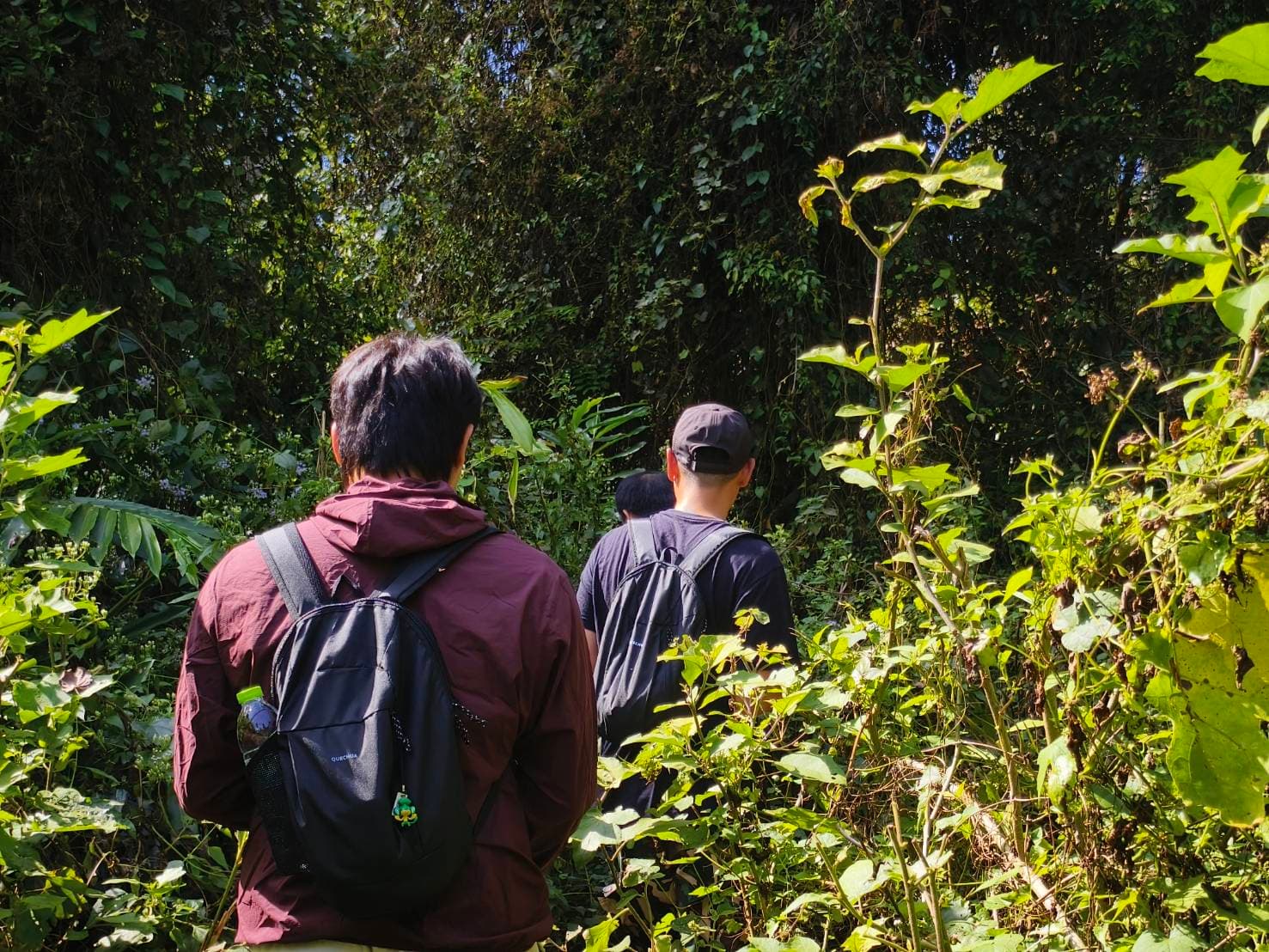 Nakhon Nayok → Khao Yai National Park (UNESCO World Heritage experience) One Day Trip 45