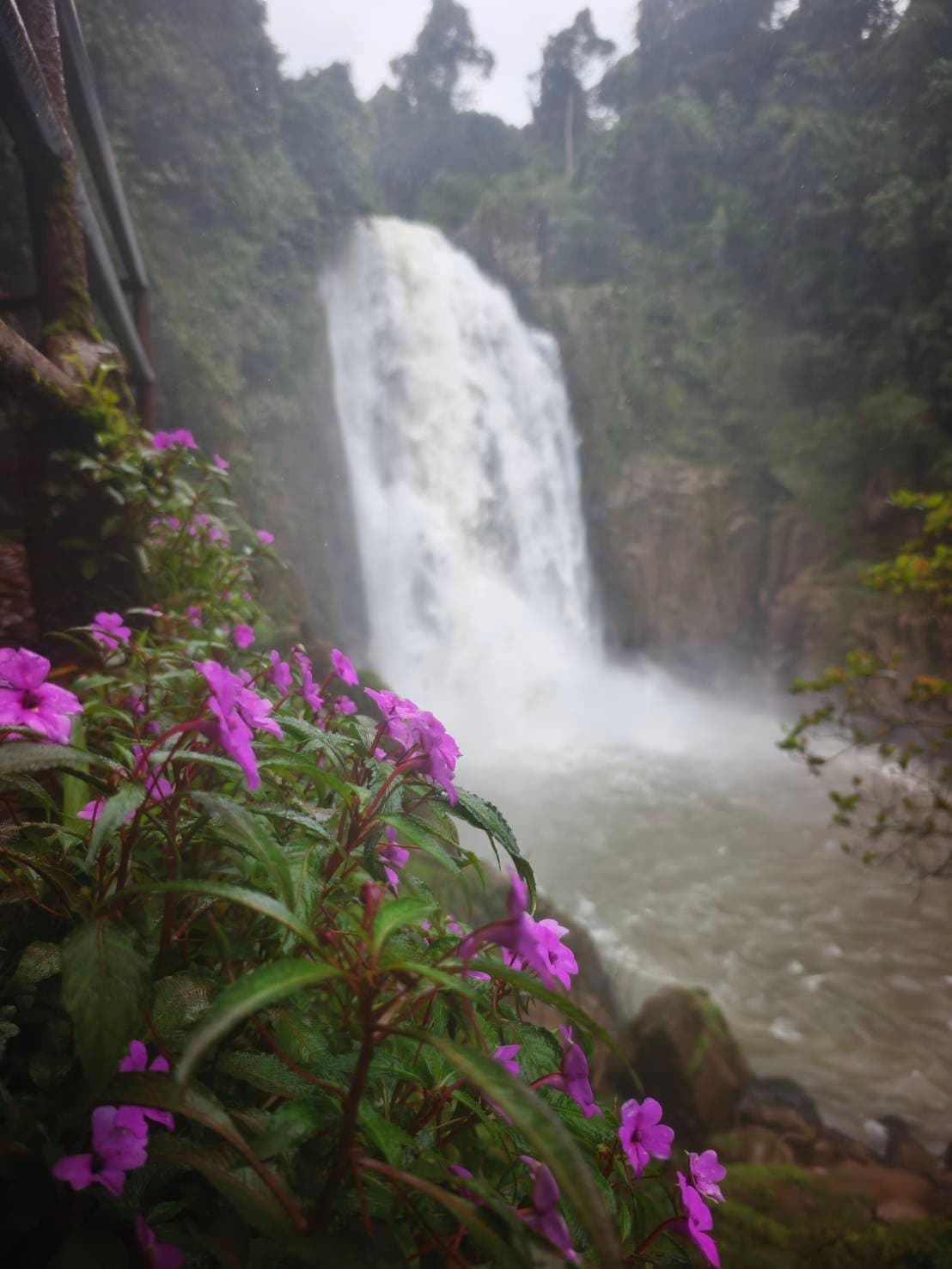 Khao Yai Experience (Unesco) World Heritage. 5