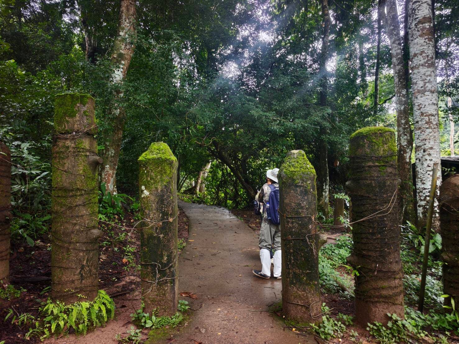 Bangkok → Khao Yai National Park (UNESCO World Heritage experience) One Day Trip 14