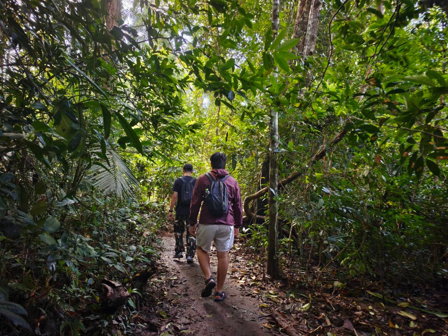 Bangkok → Khao Yai National Park (UNESCO World Heritage experience) One Day Trip 20