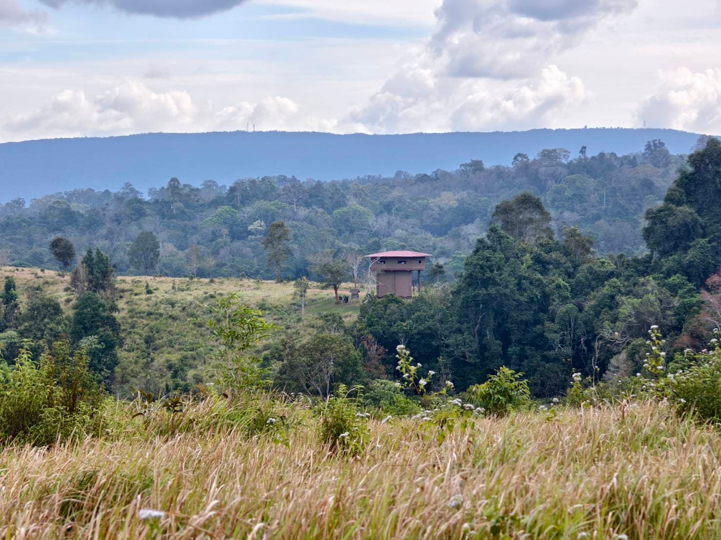 Bangkok → Khao Yai National Park (UNESCO World Heritage experience) One Day Trip 40