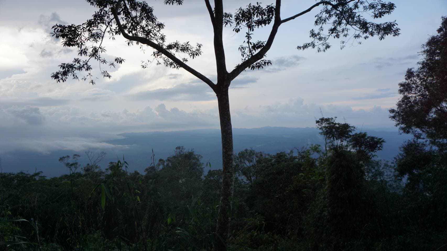 Bangkok → Khao Yai National Park (UNESCO World Heritage experience) One Day Trip 56