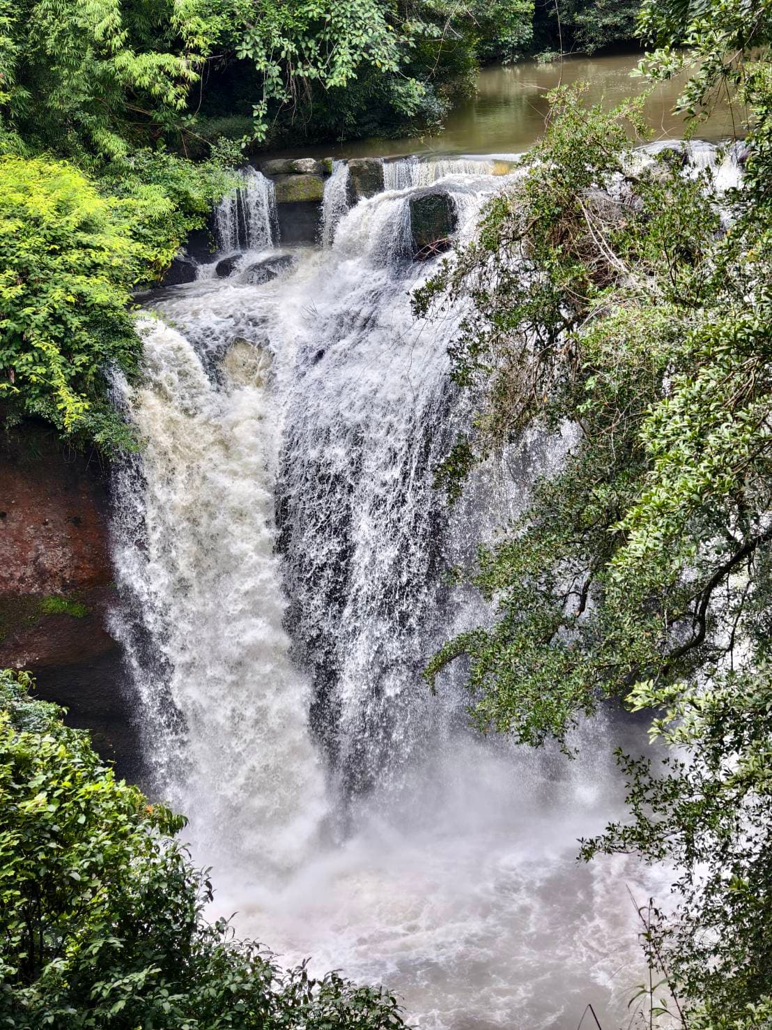 Nakhon Nayok → Khao Yai National Park (UNESCO World Heritage experience) One Day Trip 3