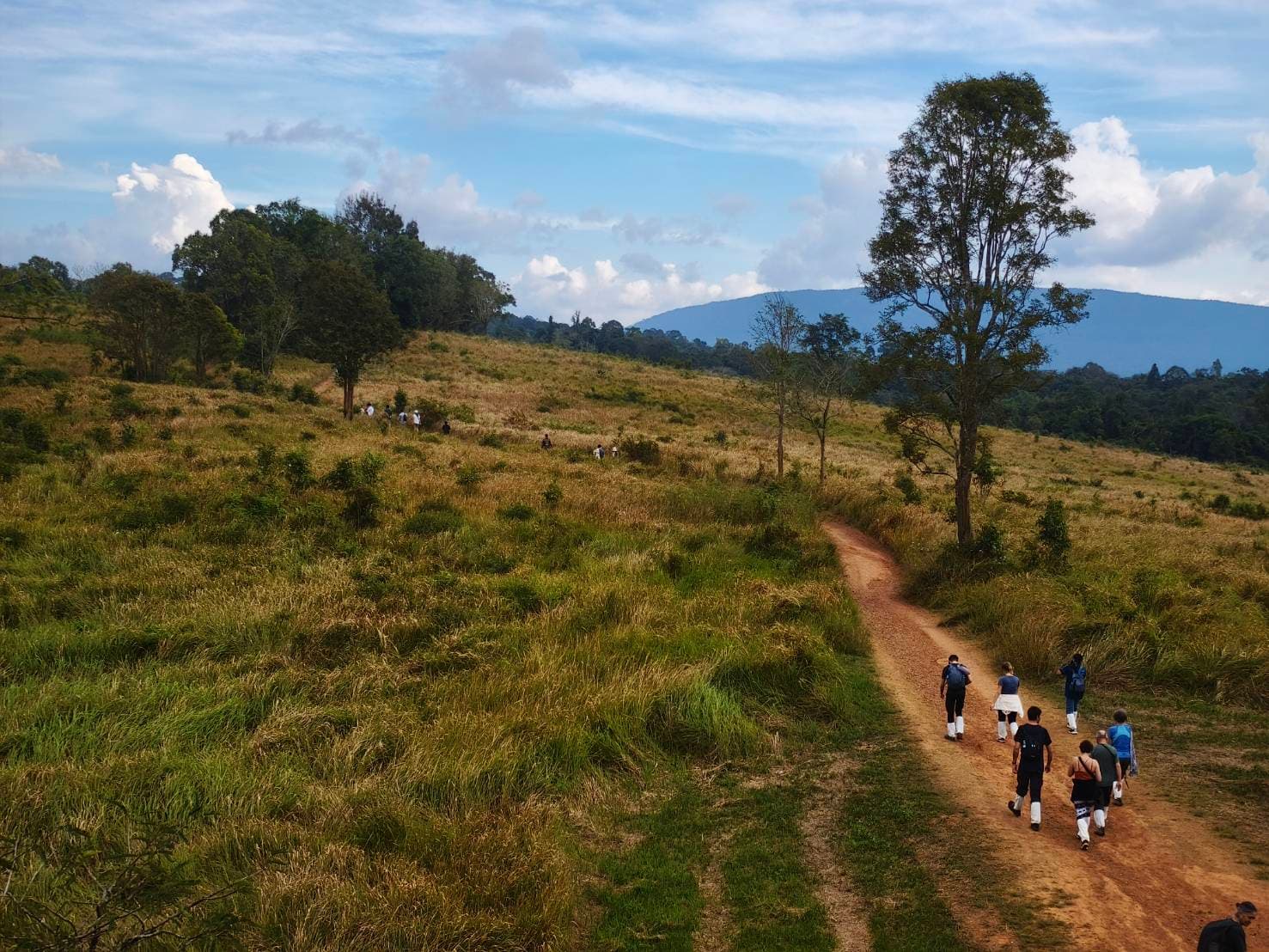 Nakhon Nayok → Khao Yai National Park (UNESCO World Heritage experience) One Day Trip 35