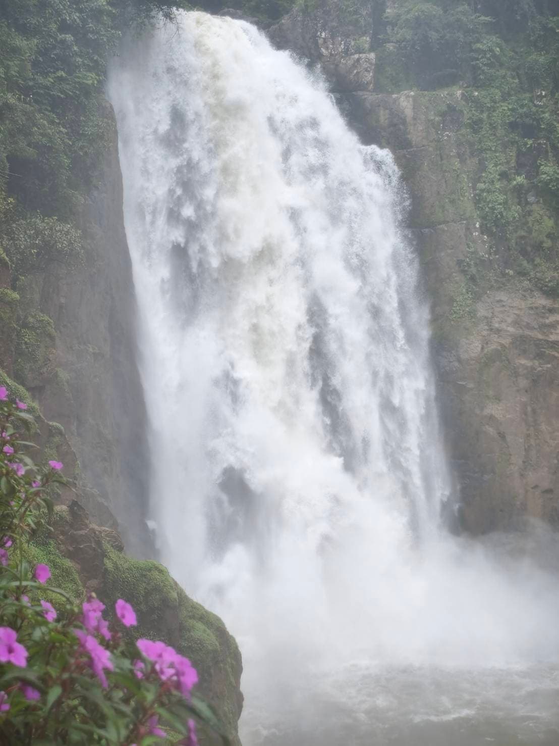 Khao Yai Experience (Unesco) World Heritage. 13