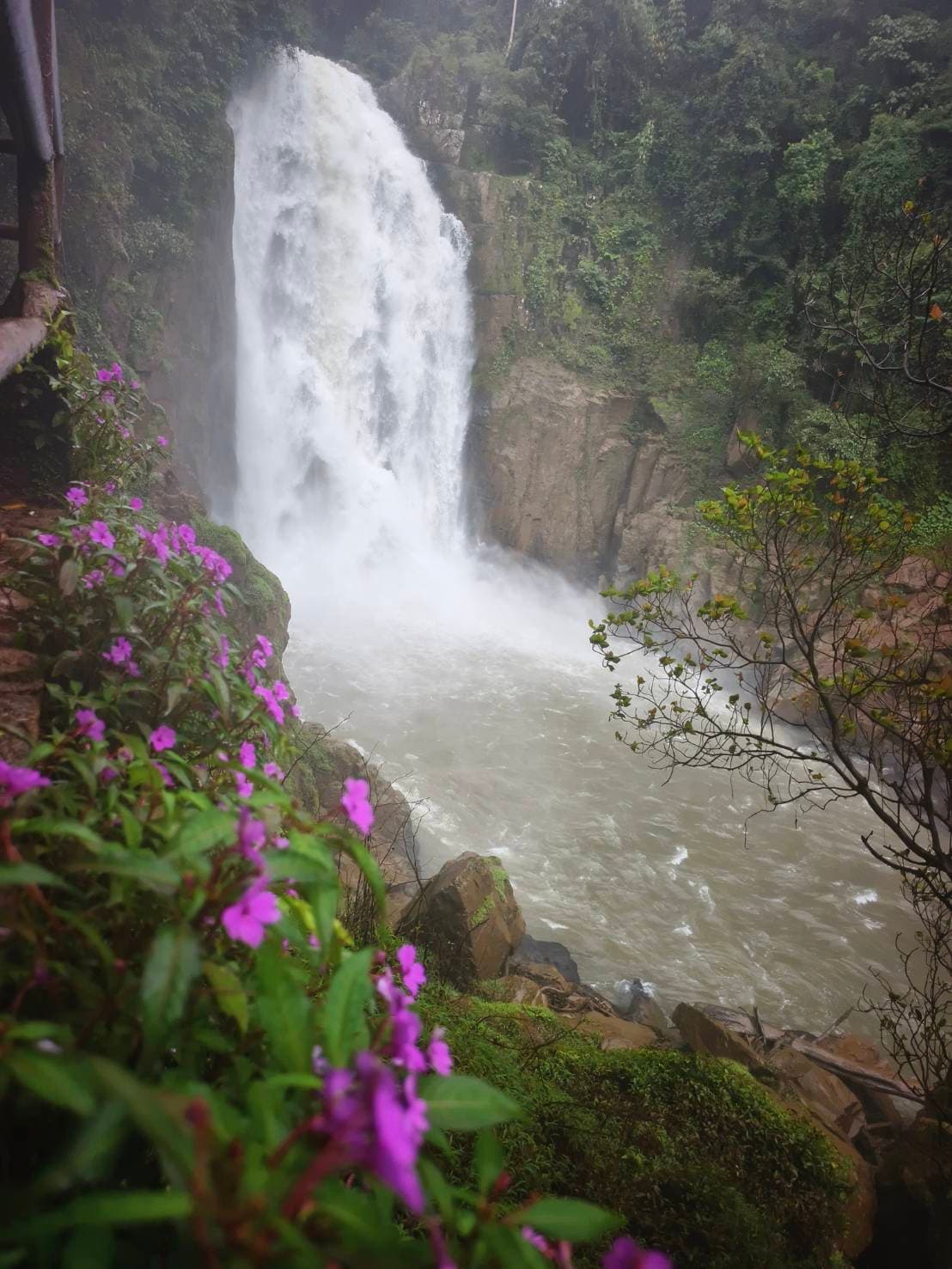 Khao Yai Experience (Unesco) World Heritage. 15