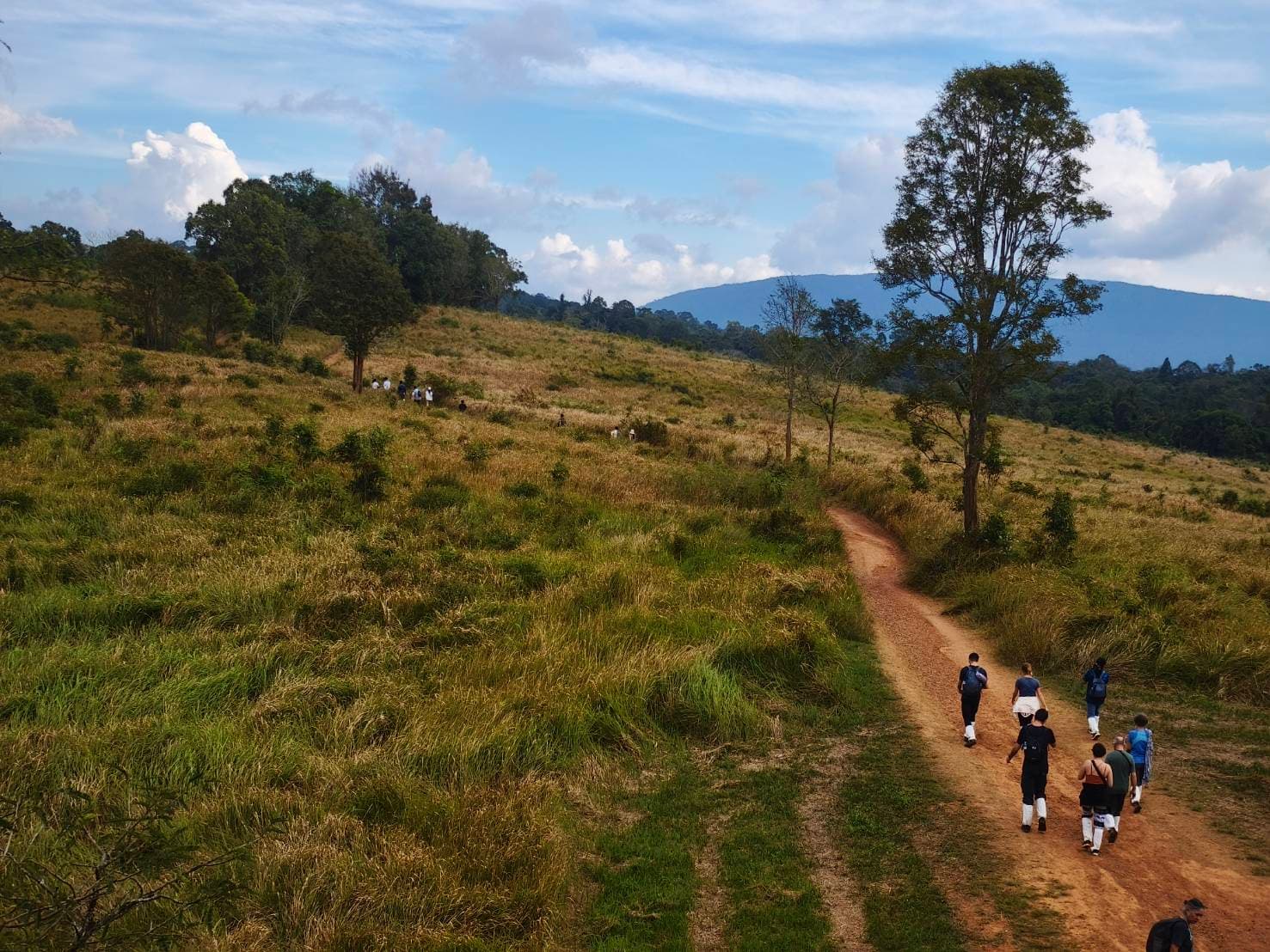 Bangkok → Khao Yai National Park (UNESCO World Heritage experience) One Day Trip 42